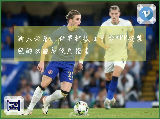 新人必看：世界杯投注平台APP安装包的功能与使用指南