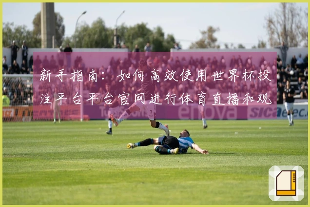 新手指南：如何高效使用世界杯投注平台平台官网进行体育直播和观看体验提升