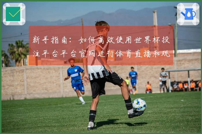 新手指南：如何高效使用世界杯投注平台平台官网进行体育直播和观看体验提升