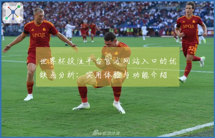 世界杯投注平台官方网站入口的优缺点分析：实用体验与功能介绍