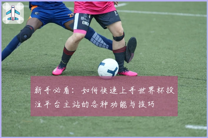 新手必看：如何快速上手世界杯投注平台主站的各种功能与技巧
