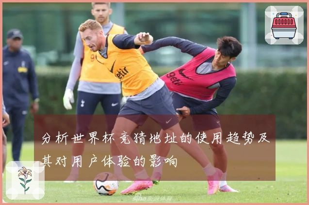 分析世界杯竞猜地址的使用趋势及其对用户体验的影响