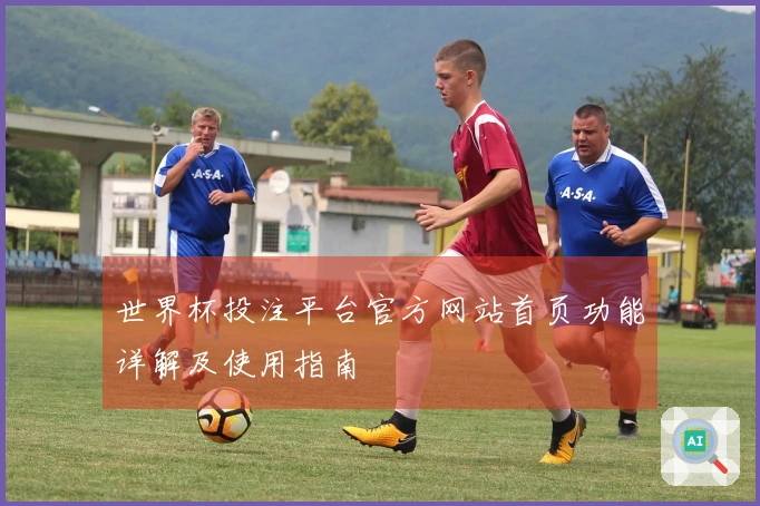 世界杯投注平台官方网站首页功能详解及使用指南